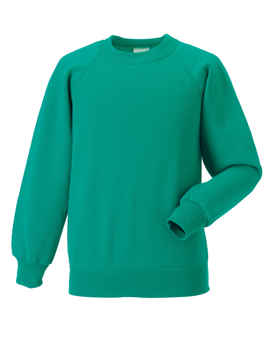 Adult Sweatshirt - AWS Ltd